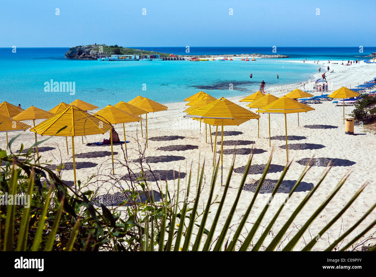 Giallo ombrelloni sulla spiaggia di Nissi, Cipro del Sud, Cipro, Sud Foto Stock