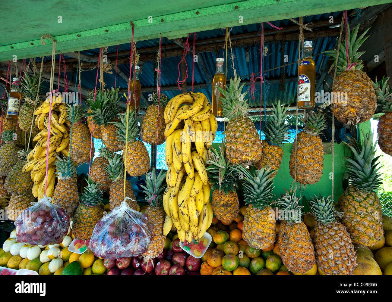 Pressione di stallo di frutta, La Ceiba, Repubblica Dominicana Foto Stock