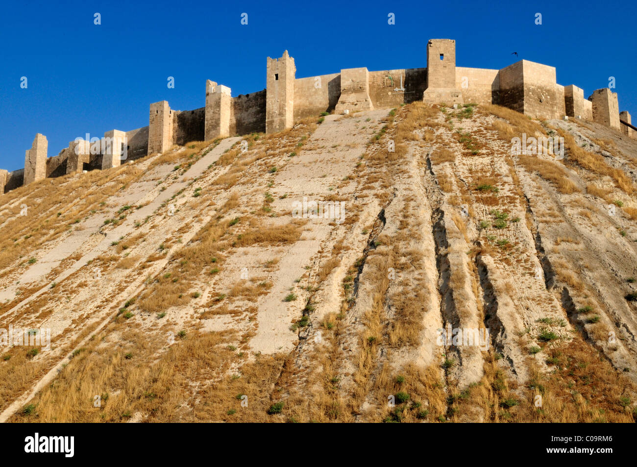 La cittadella storica di Aleppo, Siria, Medio Oriente e Asia Orientale Foto Stock