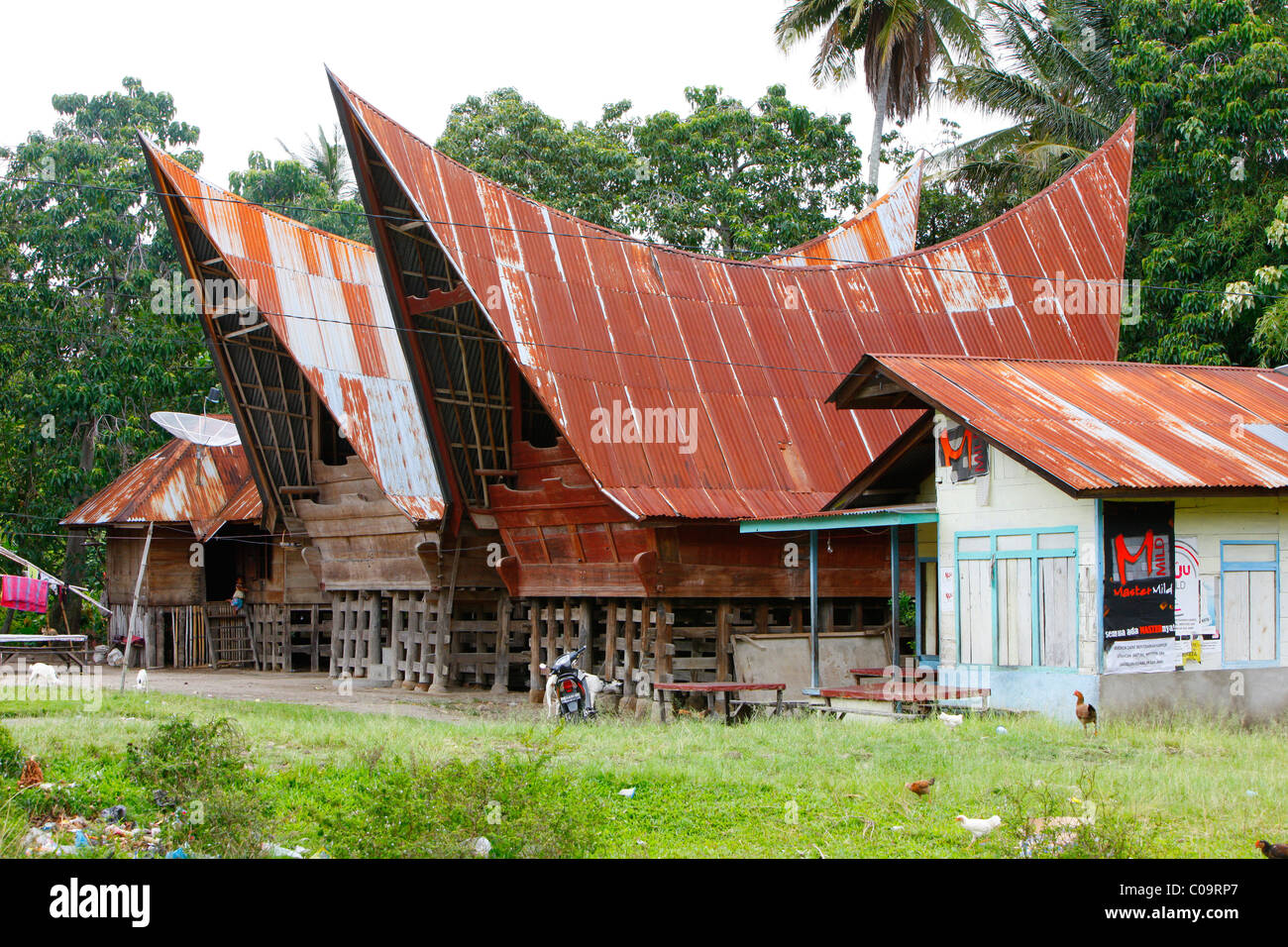 Batak case, isola di Samosir, Lago Toba, Batak regione, Sumatra, Indonesia, Asia Foto Stock