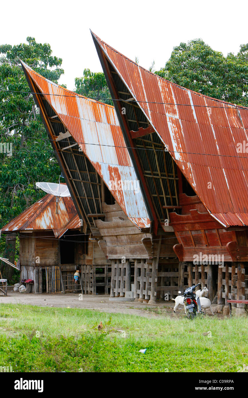 Batak case, isola di Samosir, Lago Toba, Batak regione, Sumatra, Indonesia, Asia Foto Stock