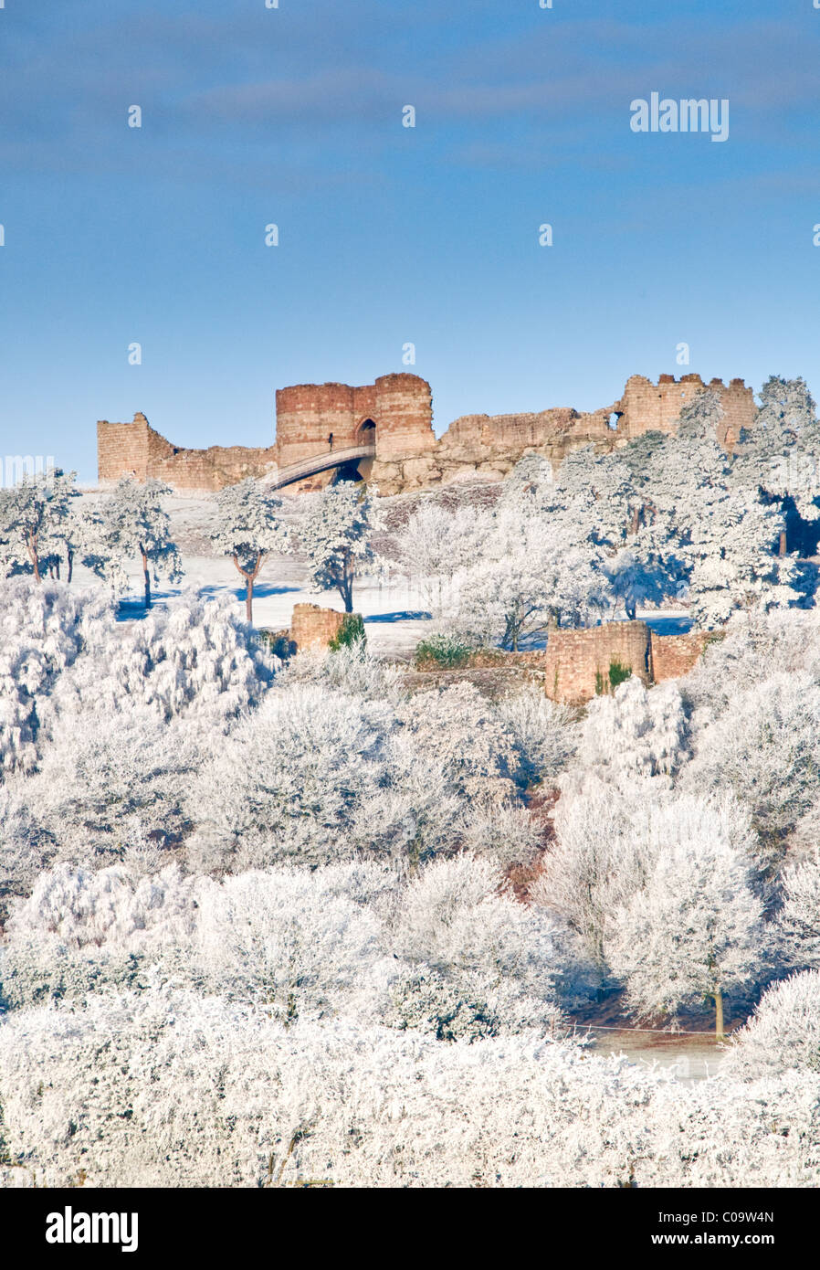 Trasformata per forte gradiente smerigliati alberi & del XIII secolo il castello di Beeston in inverno, Beeston, Cheshire, Inghilterra, Regno Unito Foto Stock