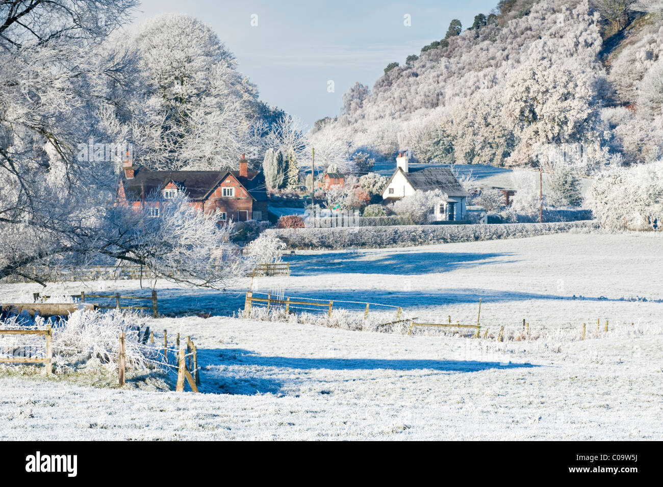 Pittoreschi cottage di Cheshire in inverno con trasformata per forte gradiente smerigliati alberi, Beeston, Cheshire, Inghilterra, Regno Unito Foto Stock