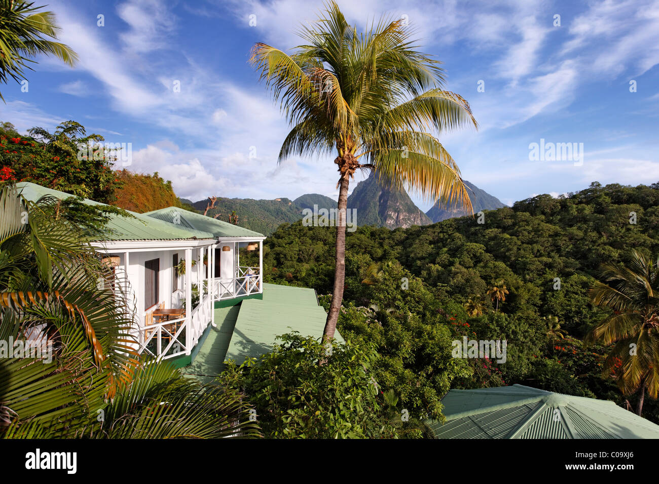 Bungalows, palme, vista sulle montagne Pitons e la foresta pluviale, Hotel di lusso di Anse Chastanet Resort, LCA, Santa Lucia Foto Stock