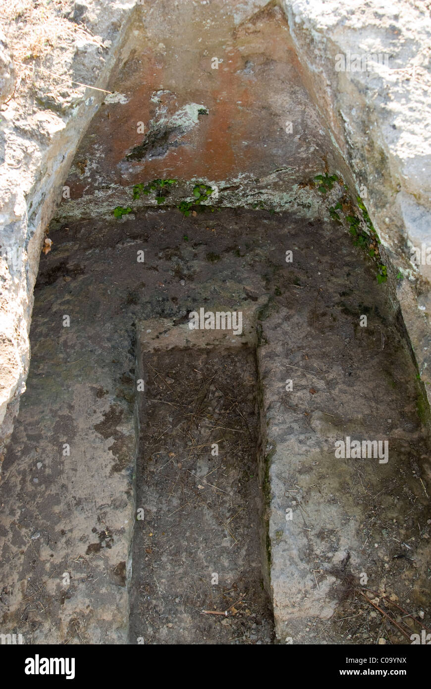 Necropoli Etrusca di ara del Tufo, tomba etrusca, Tuscania, Viterbo, Lazio, Italia Foto Stock