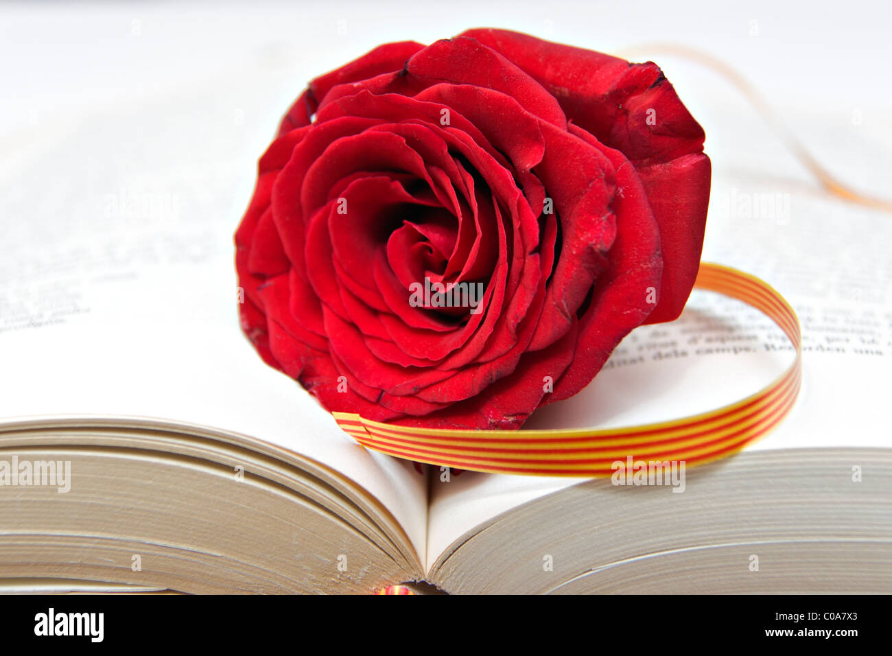 Rosa e libro, una tradizione in Catalogna Foto Stock