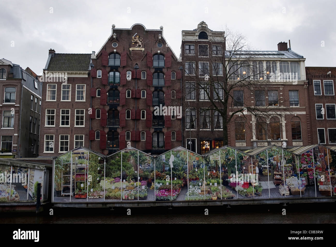 Il mercato dei fiori di Amsterdam, Olanda Foto Stock