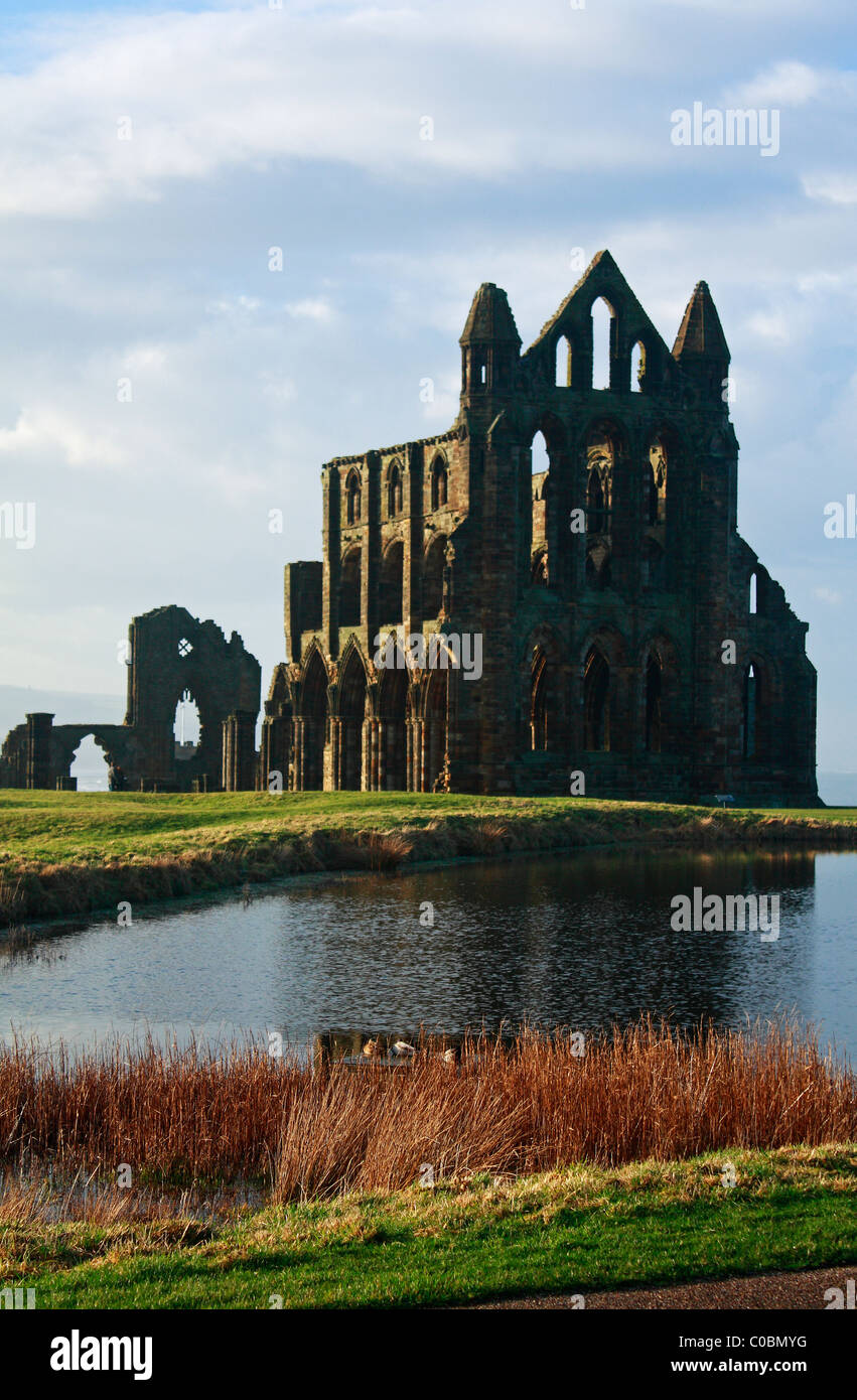 Whitby Abbey St Hildas North Yorkshire England Regno Unito Regno Unito Europa Foto Stock