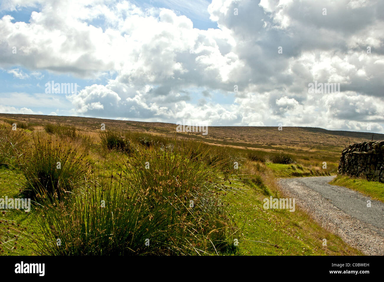Yorkshire Bronte Country, West Riding Foto Stock