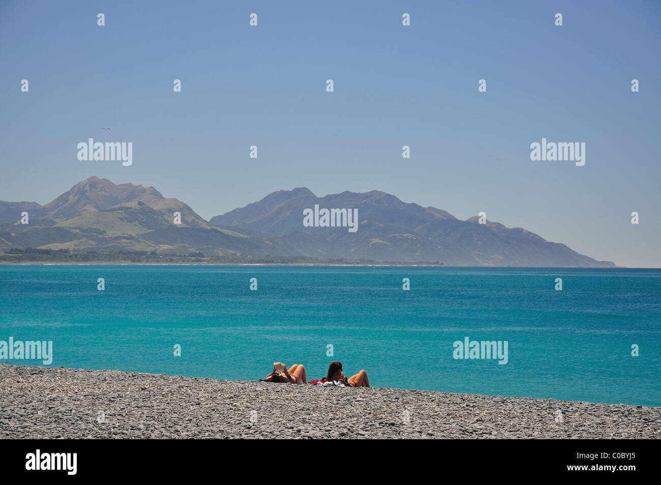 Vista della spiaggia e di Kaikoura Coast, Kaikoura, regione di Canterbury, Isola del Sud, Nuova Zelanda Foto Stock