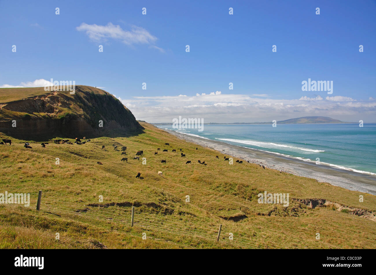 Resto McCrackens lookout costiere off meridionale itinerario panoramico, Te Waewae Bay, Isola del Sud, Nuova Zelanda Foto Stock