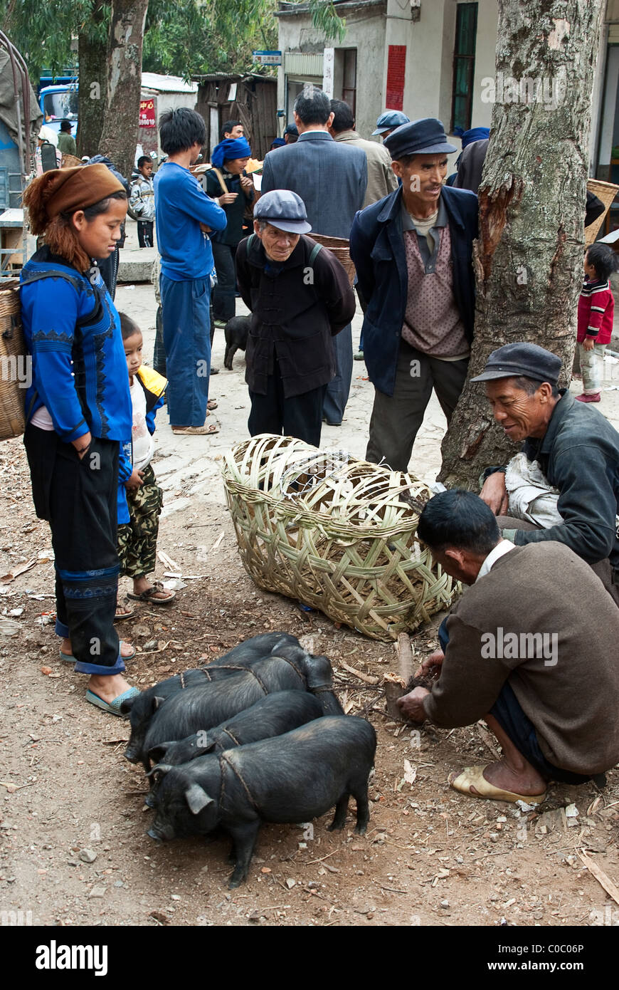 Asia, Cina Yunnan, Honghe Prefettura, Yuanyang County, Panzhihua città. Venditori di suino sul giorno di mercato. Foto Stock