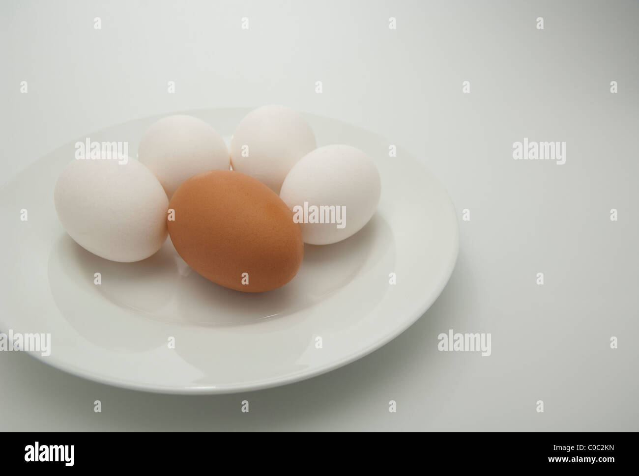 Agricoltura biologica uovo marrone sulla piastra con prodotti di massa le uova bianche Foto Stock