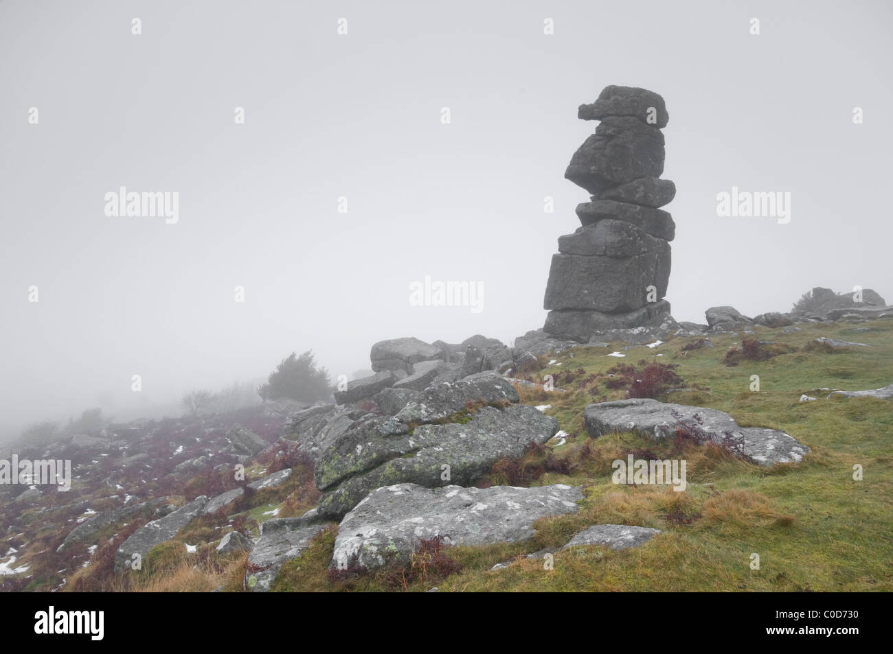 La Bowerman del naso, Dartmoor in inverno la nebbia. Foto Stock