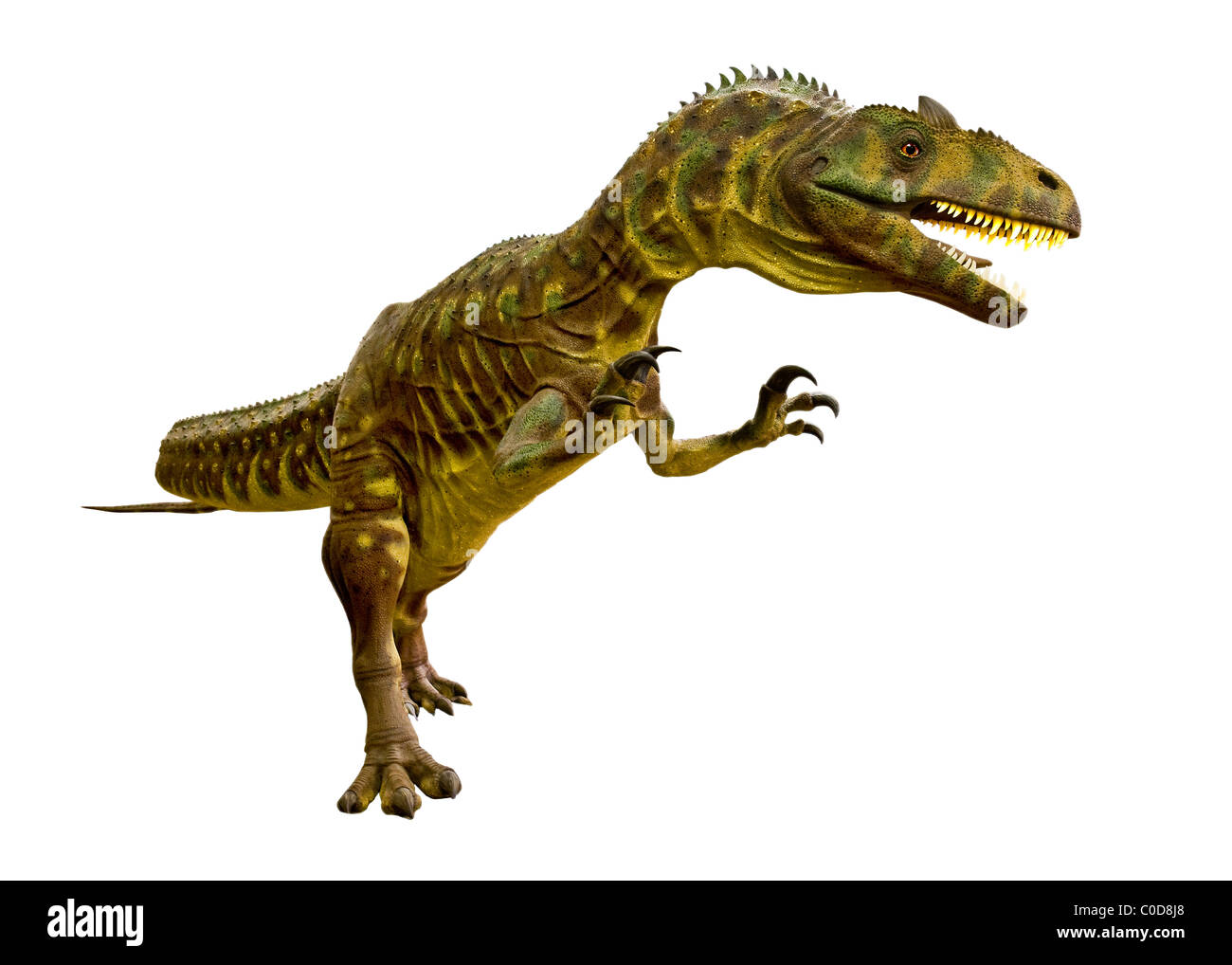 Allosaurus un età Giurassico dinosauro ricreazione Foto Stock