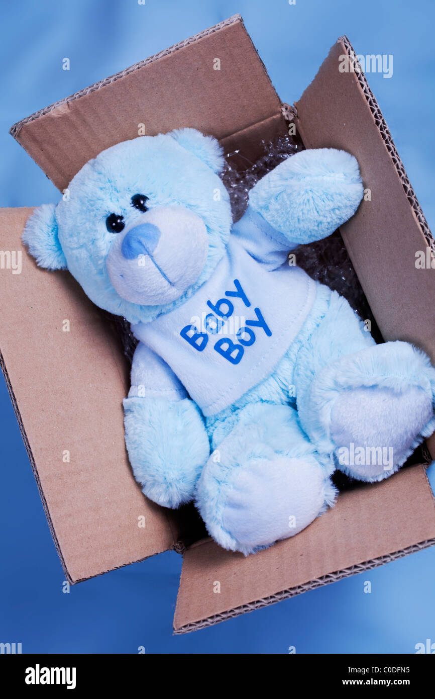Blue Teddy bear in una scatola di cartone Foto Stock