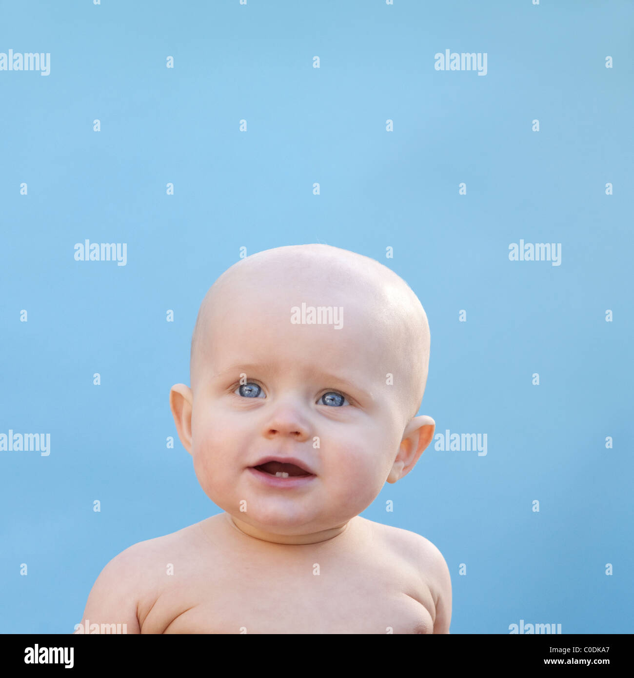 Bald baby davanti a sfondo blu Foto Stock