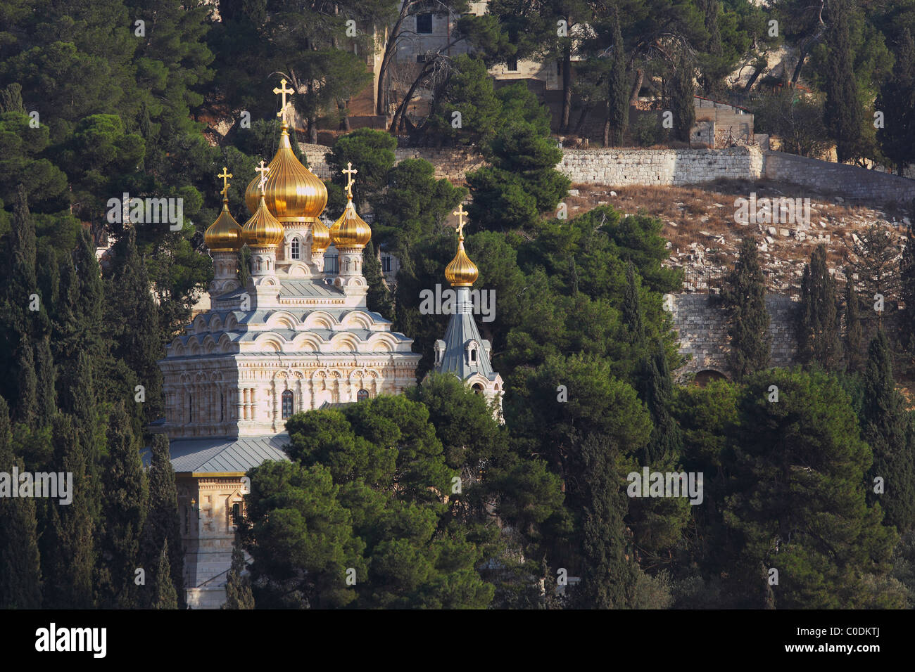Cupole dorate della chiesa di Maria Maddalena e cipressi. Mount of Olives, Gerusalemme Foto Stock