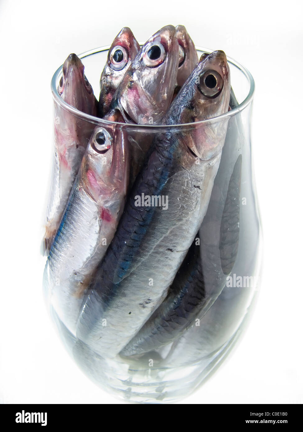 pesce e vetro Foto Stock