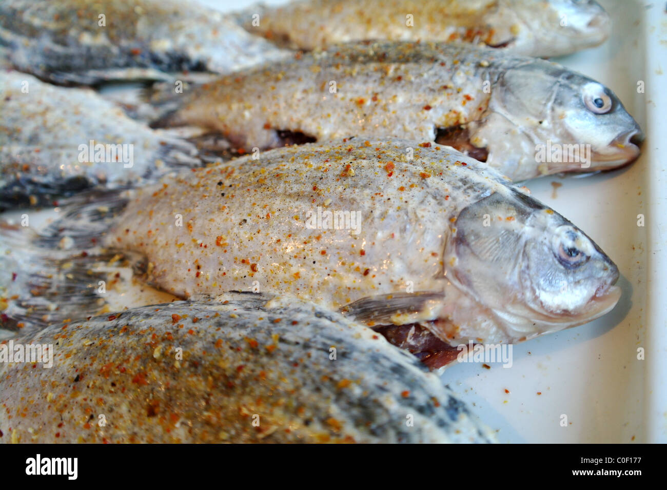 Pesce grezzo il carassio sul protwin, preparato per una frittura Foto Stock