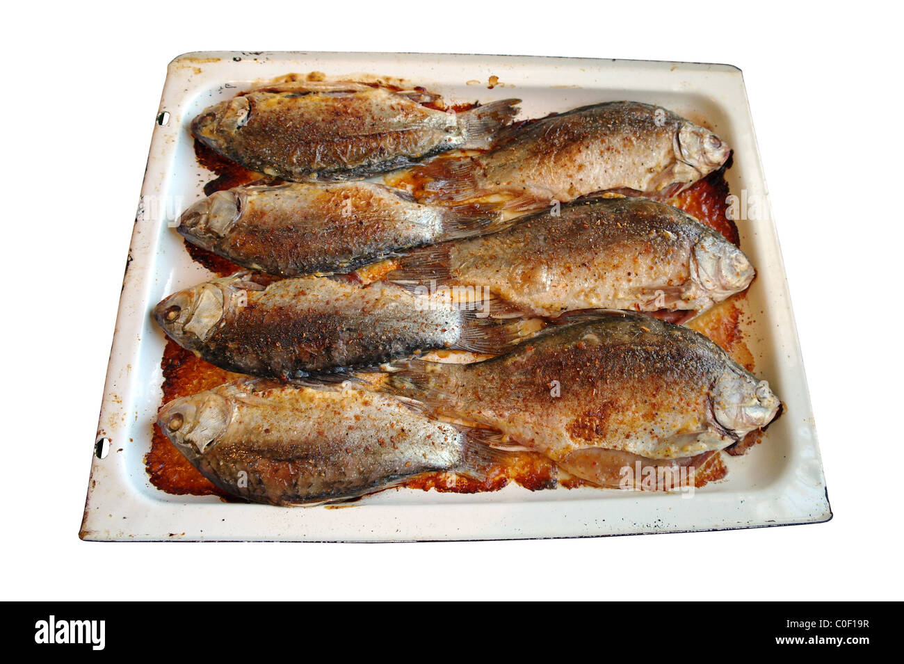 Pesce fritto il carassio sul protwin, è isolata, sfondo bianco Foto Stock