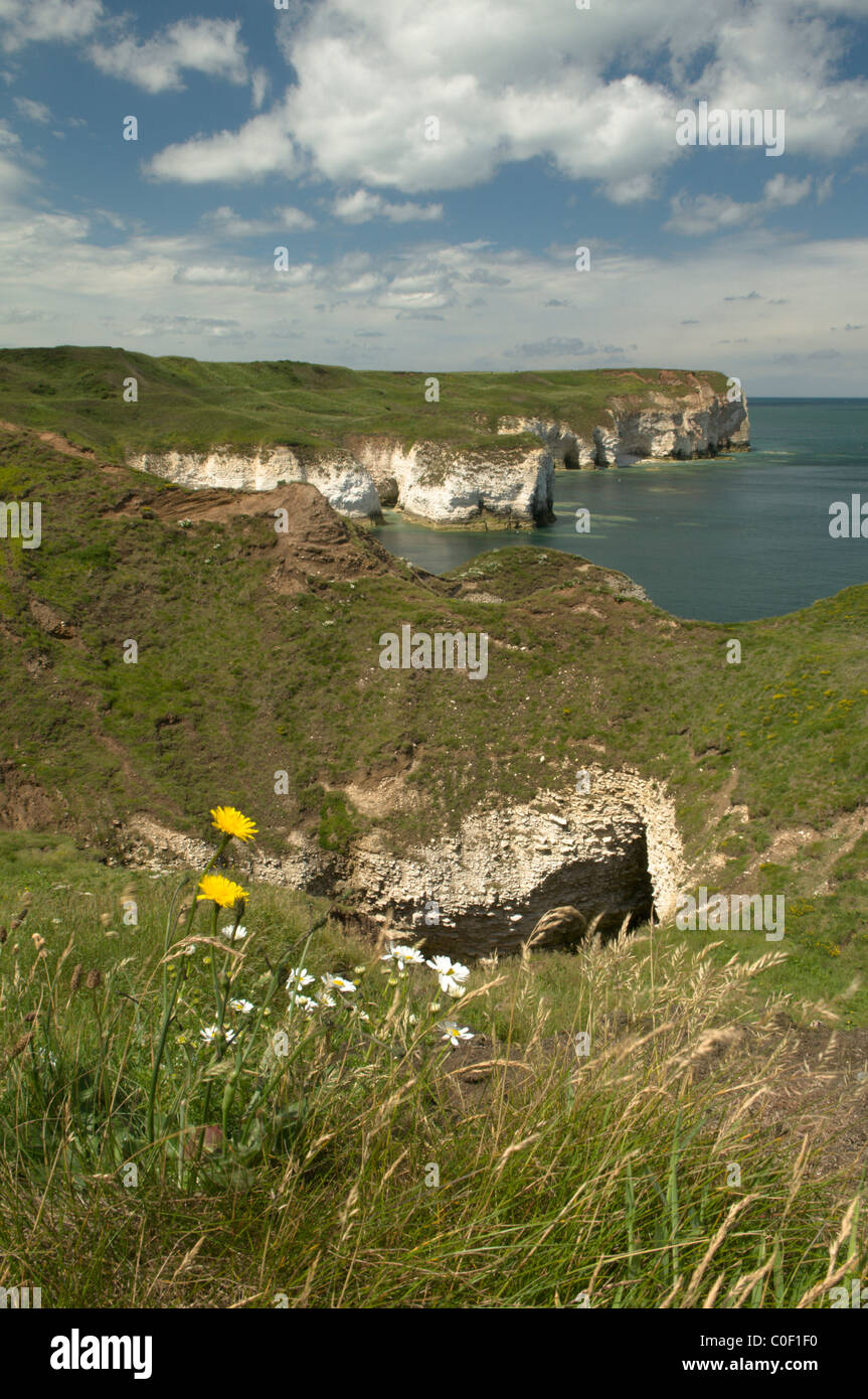 Scogliere e mare direttamente sotto il faro a Flamborough Head, yorkshire, Regno Unito. giugno. Visualizzare il nord-est. Foto Stock