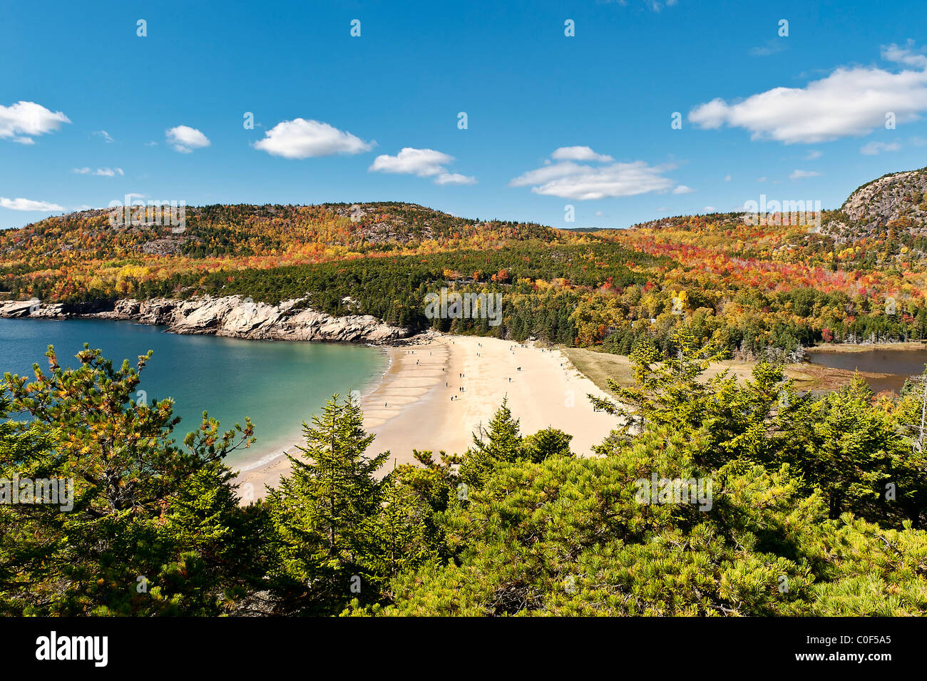 Spiaggia di sabbia, Acadia NP, Maine, Stati Uniti d'America Foto Stock