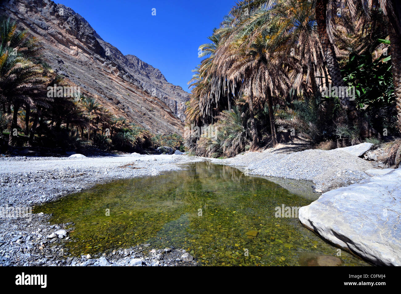 Wadi Bani Kharus, Oman con acqua a sinistra dalla stagione piovosa. Il Sultanato di Oman. Foto Stock