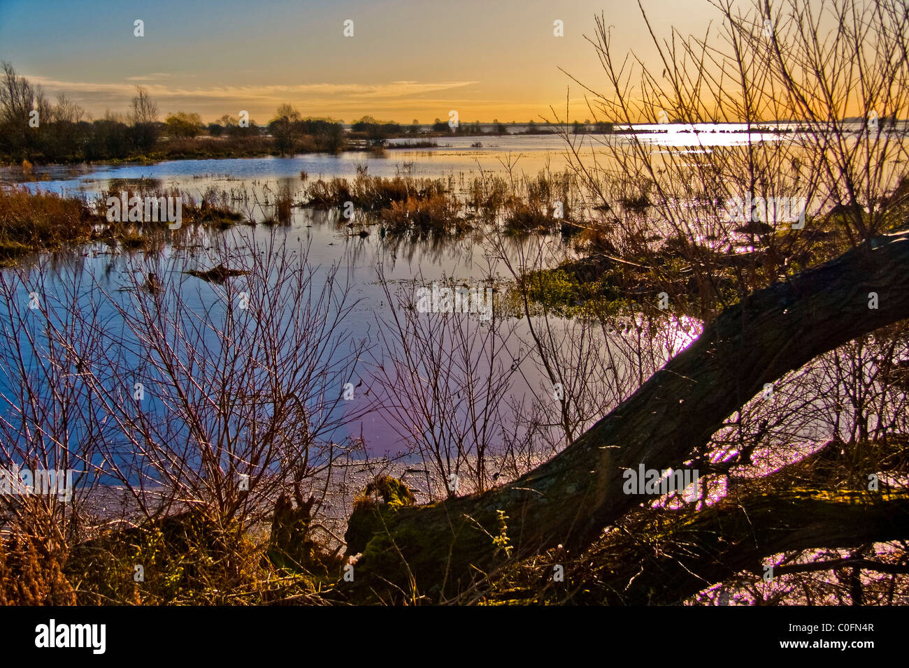 Campi allagati vicino Welney in Cambridgeshire Foto Stock