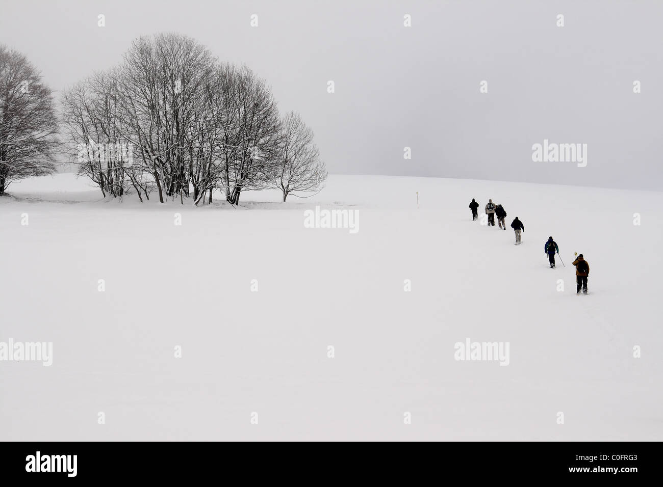 Escursioni con le racchette da neve Foto Stock