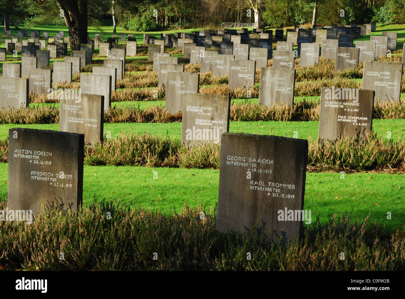 In Germania il Cimitero di Guerra, Cannock Chase, Staffordshire, Regno Unito Foto Stock