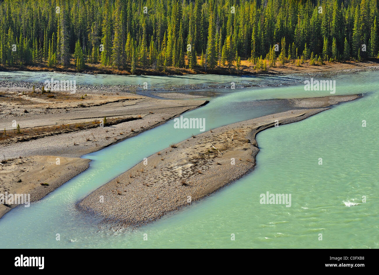 Un'isola di sabbia formata dalla fed sul Ghiacciaio Athabasca River nel Parco Nazionale di Jasper Alberta Canada. Foto Stock