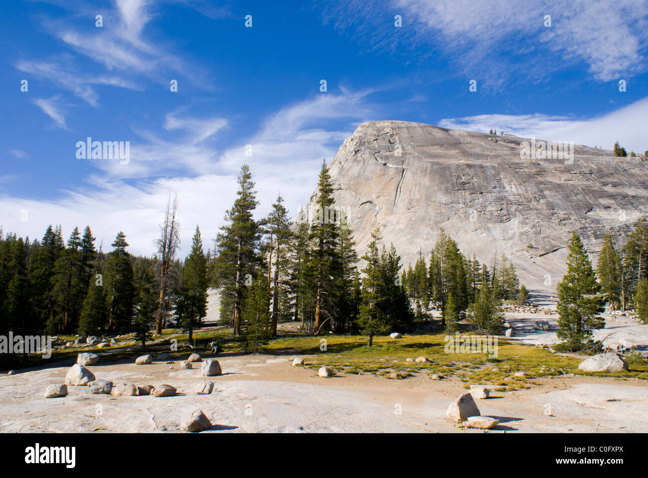 Cupola Lambert, Yosemite National Park, California, Stati Uniti Foto Stock
