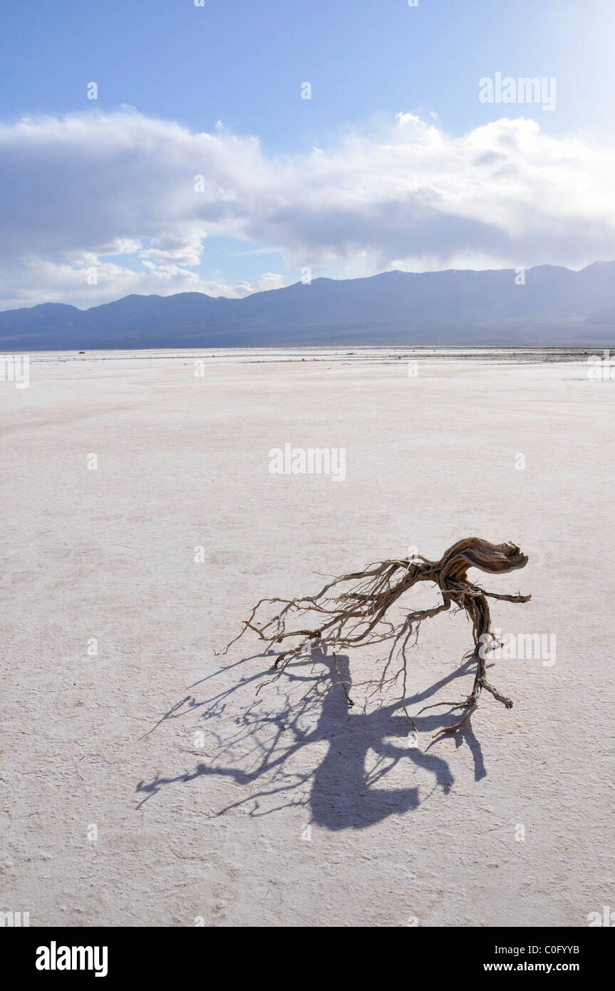 Bacino Badwater, Parco Nazionale della Valle della Morte, CALIFORNIA, STATI UNITI D'AMERICA Foto Stock
