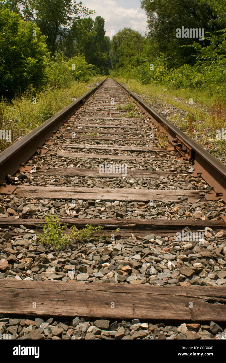 Poco utilizzato ferrovia via sembra scomparire tra gli alberi di una piccola città del New England, STATI UNITI D'AMERICA. Foto Stock