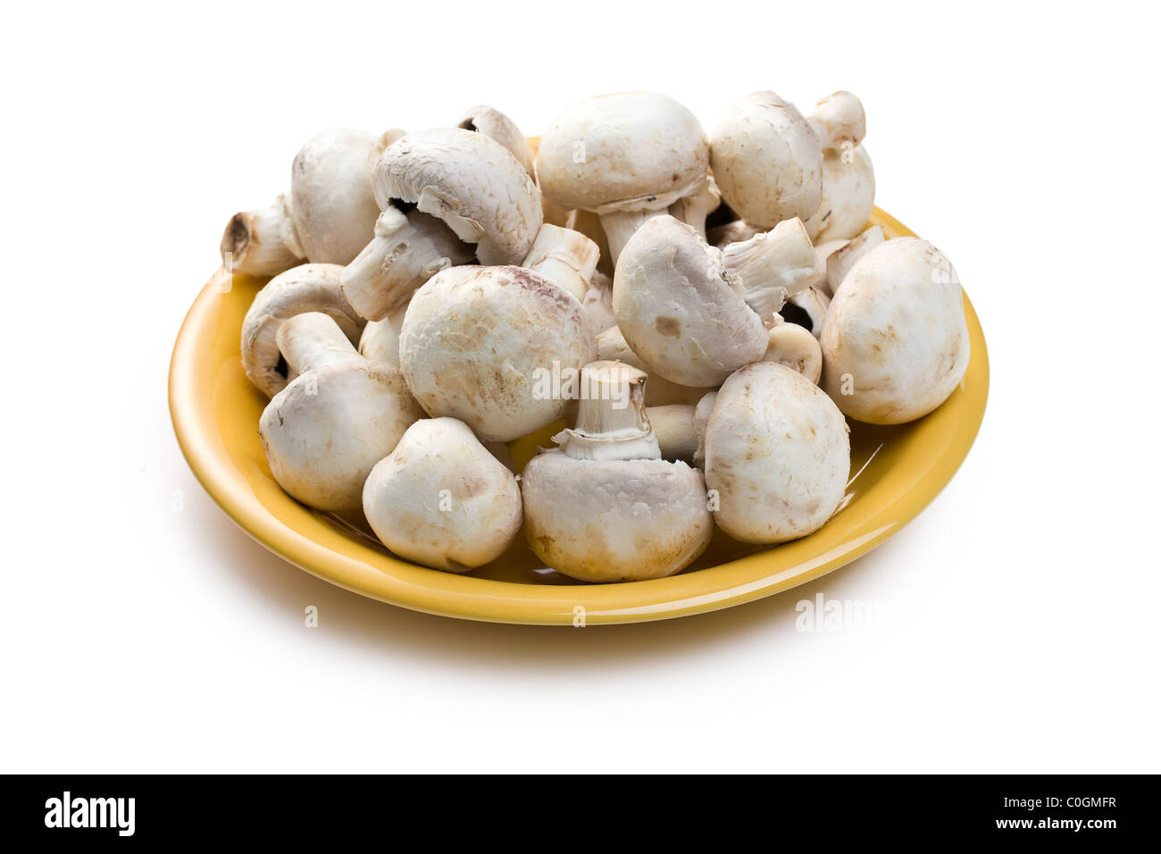 Funghi prataioli su sfondo bianco Foto Stock