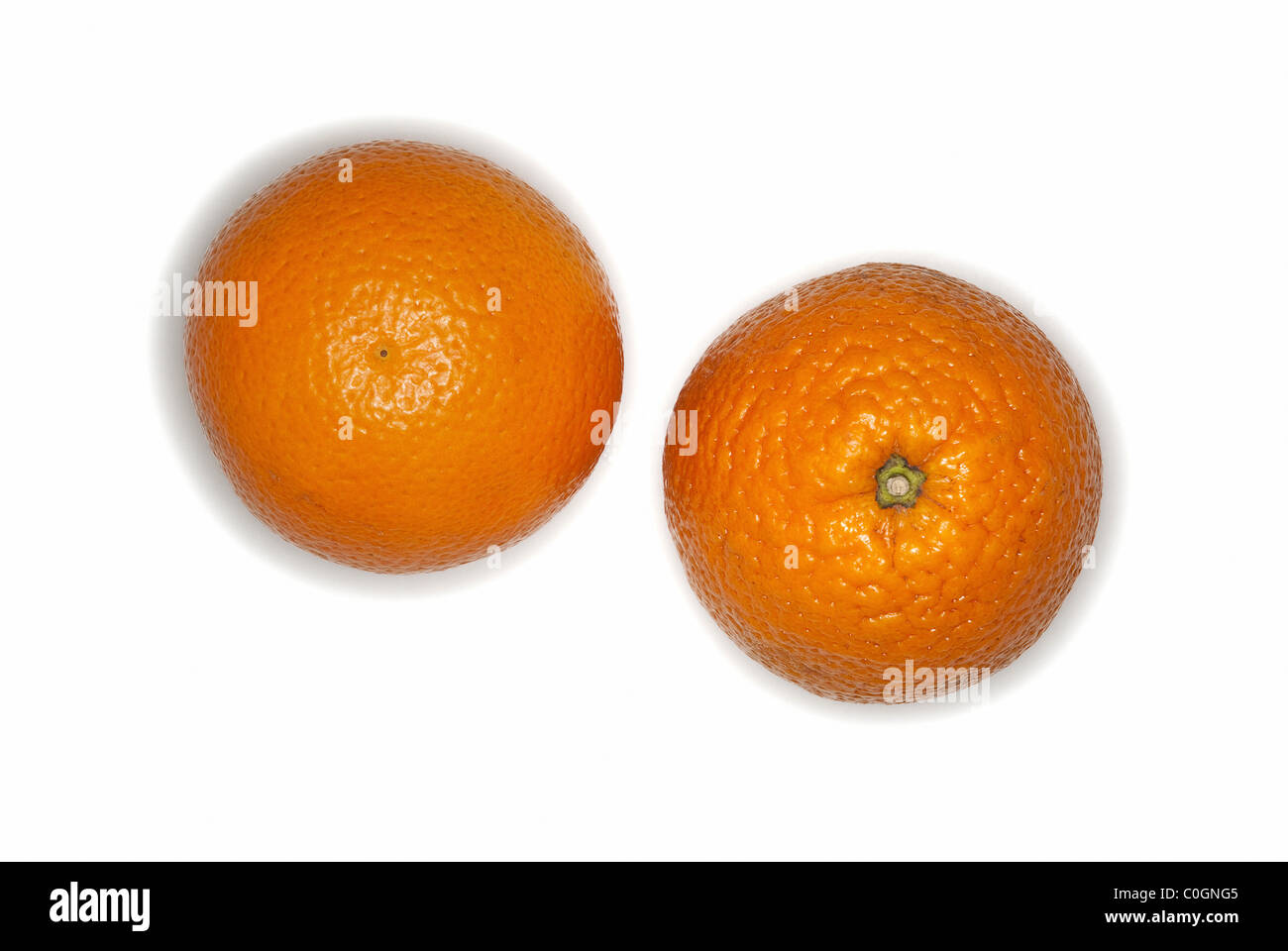 Arance frutti su sfondo bianco Foto Stock