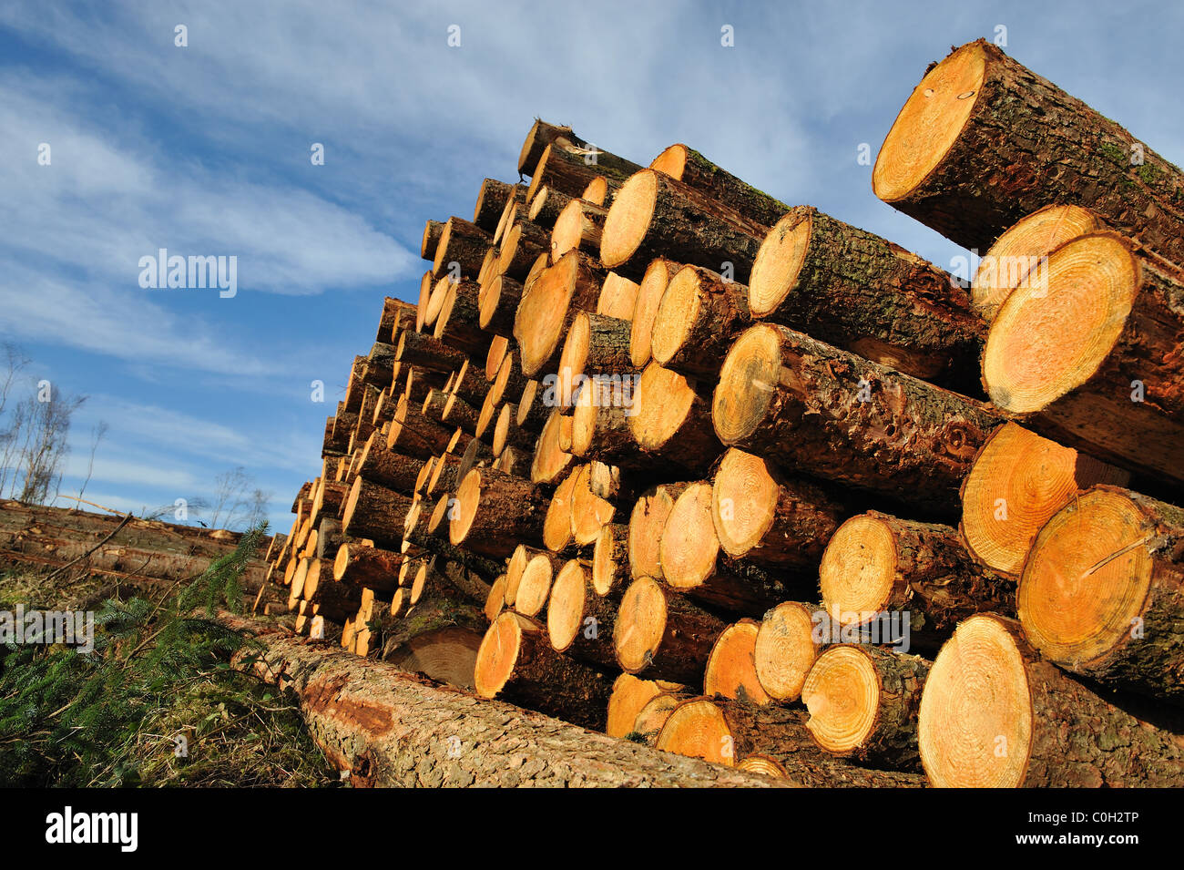 Il taglio e il trito di legna sono impilati in un heap Foto Stock