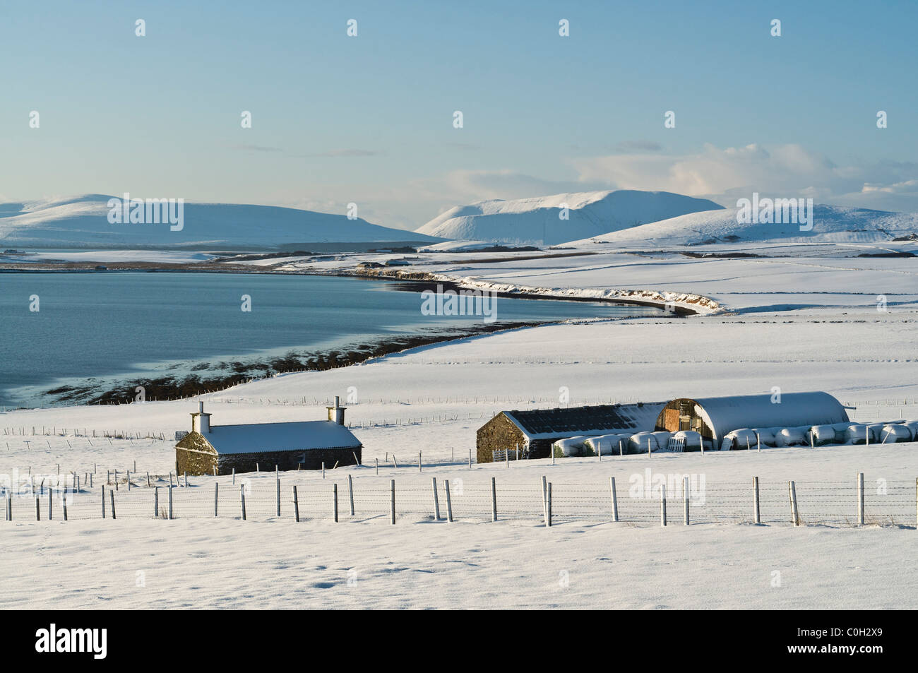 dh Swanbister Bay ORPHIR ORKNEY Snowy Fields Orkney fattoria neve paesaggio scozzese scozia campo rurale cielo blu scene invernali regno unito Foto Stock