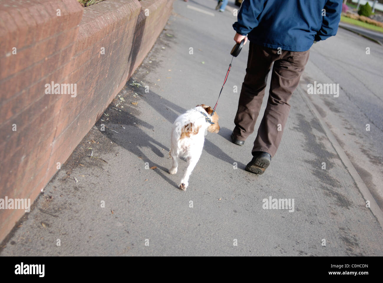 Uomo che cammina il suo cane lungo la pavimentazione urbana. Foto Stock