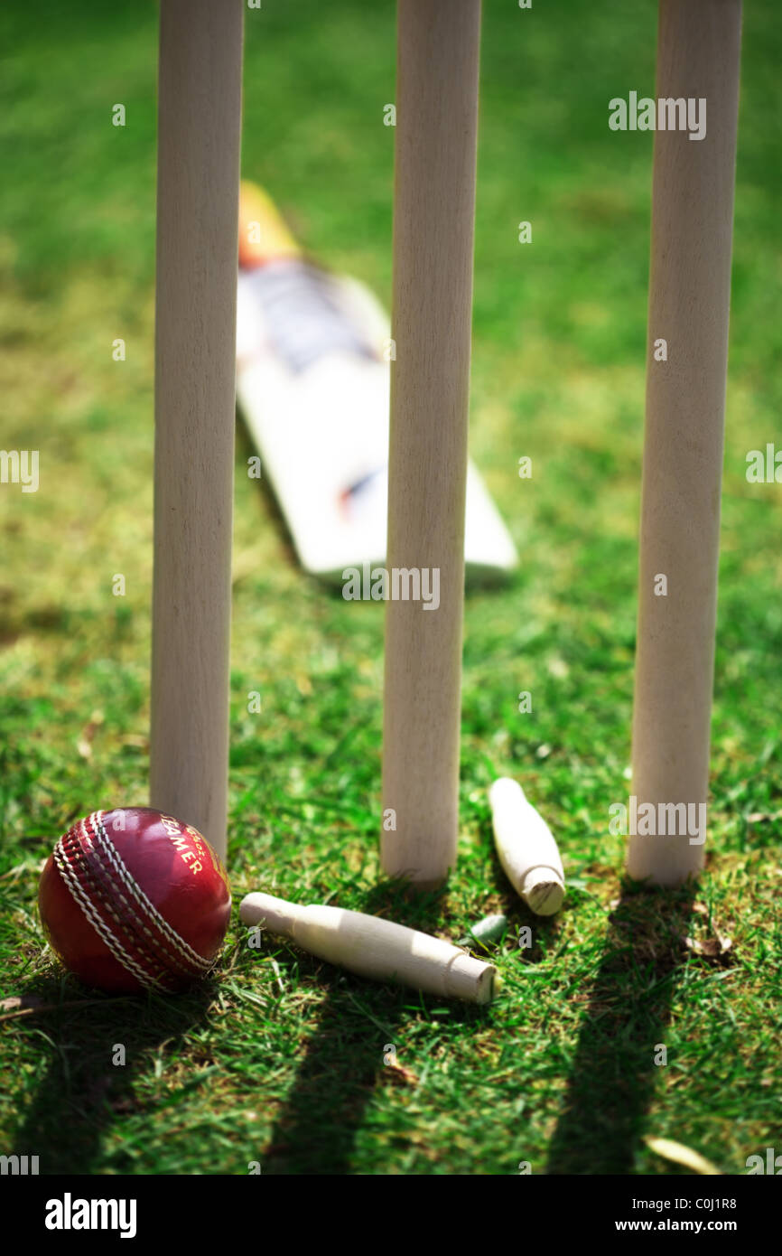 Attrezzature di cricket Foto Stock