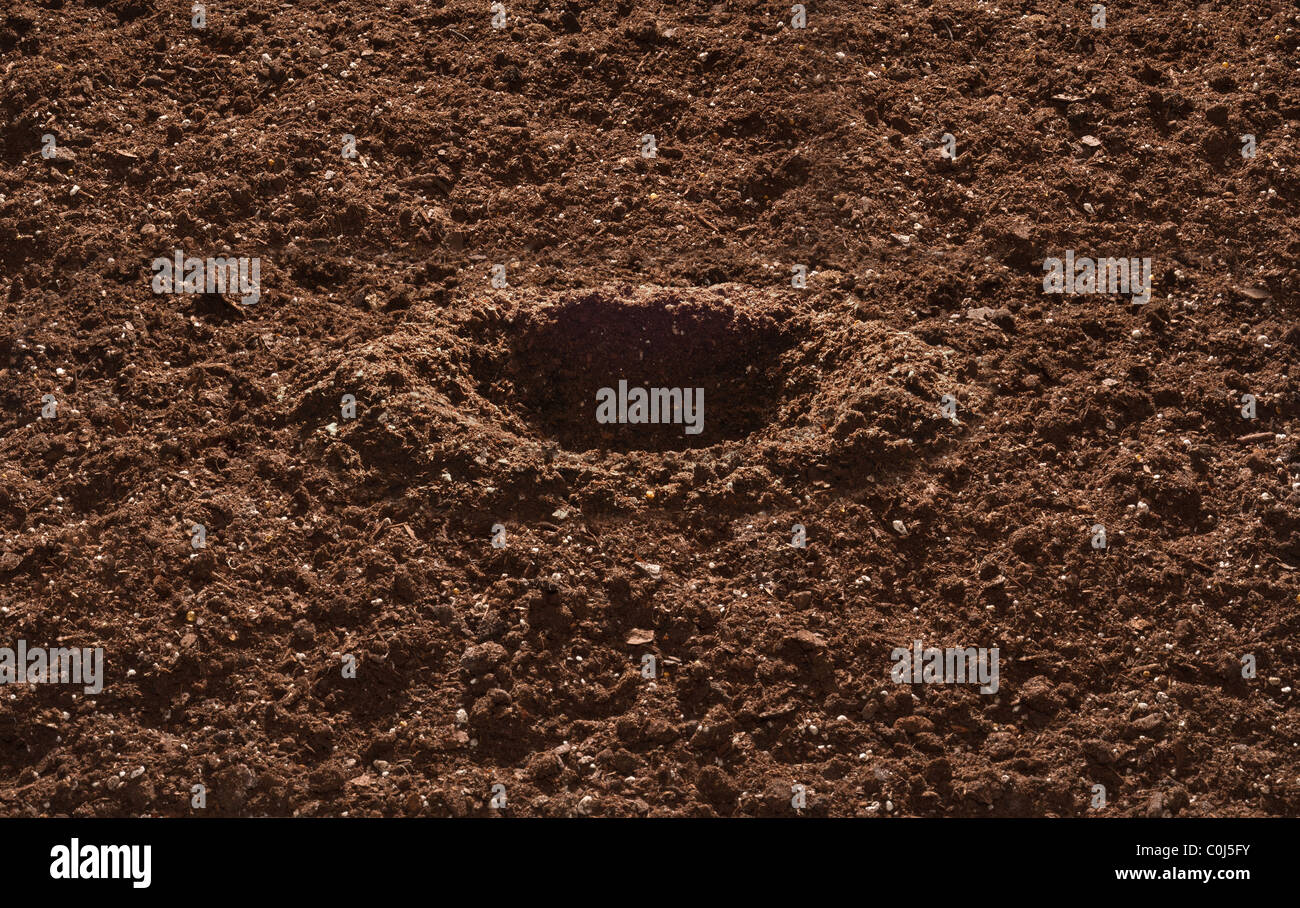 Suolo di giardino con buco scavato per la semina Foto Stock