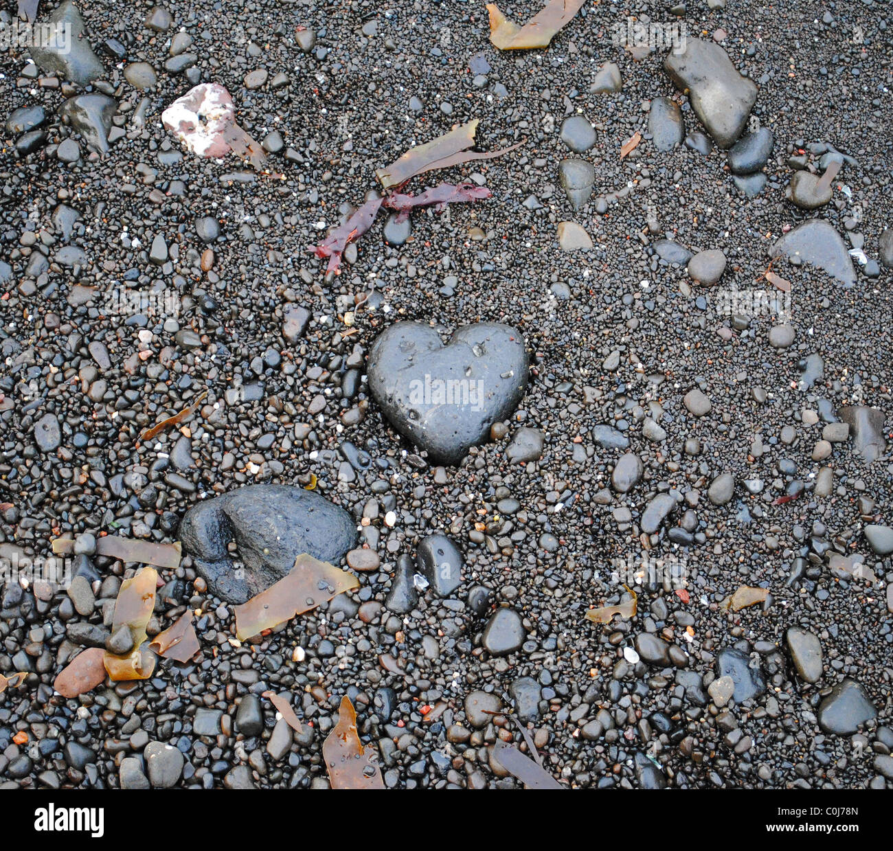 A forma di cuore ad rock si trovano su una spiaggia scozzese Foto Stock