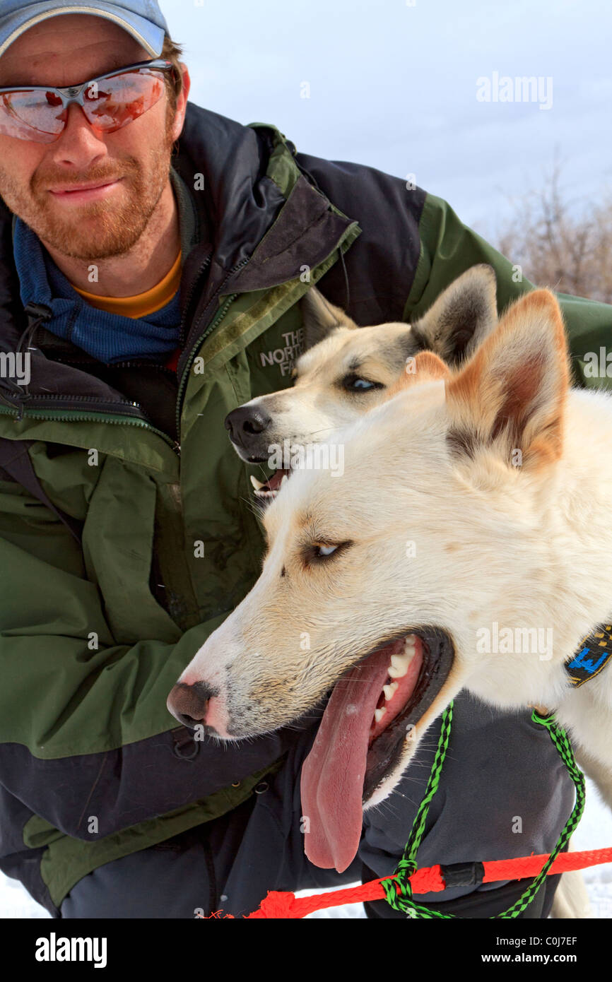 Sled Dog guida prepara i suoi cani per una corsa in una zona rurale fuori Park City, Utah. Foto Stock