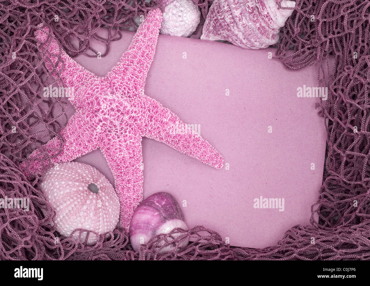 Spiaggia vuota message board tra i gusci, stelle marine e ricci di mare in Tutina in rete. Tutti rosa oscurata. Foto Stock