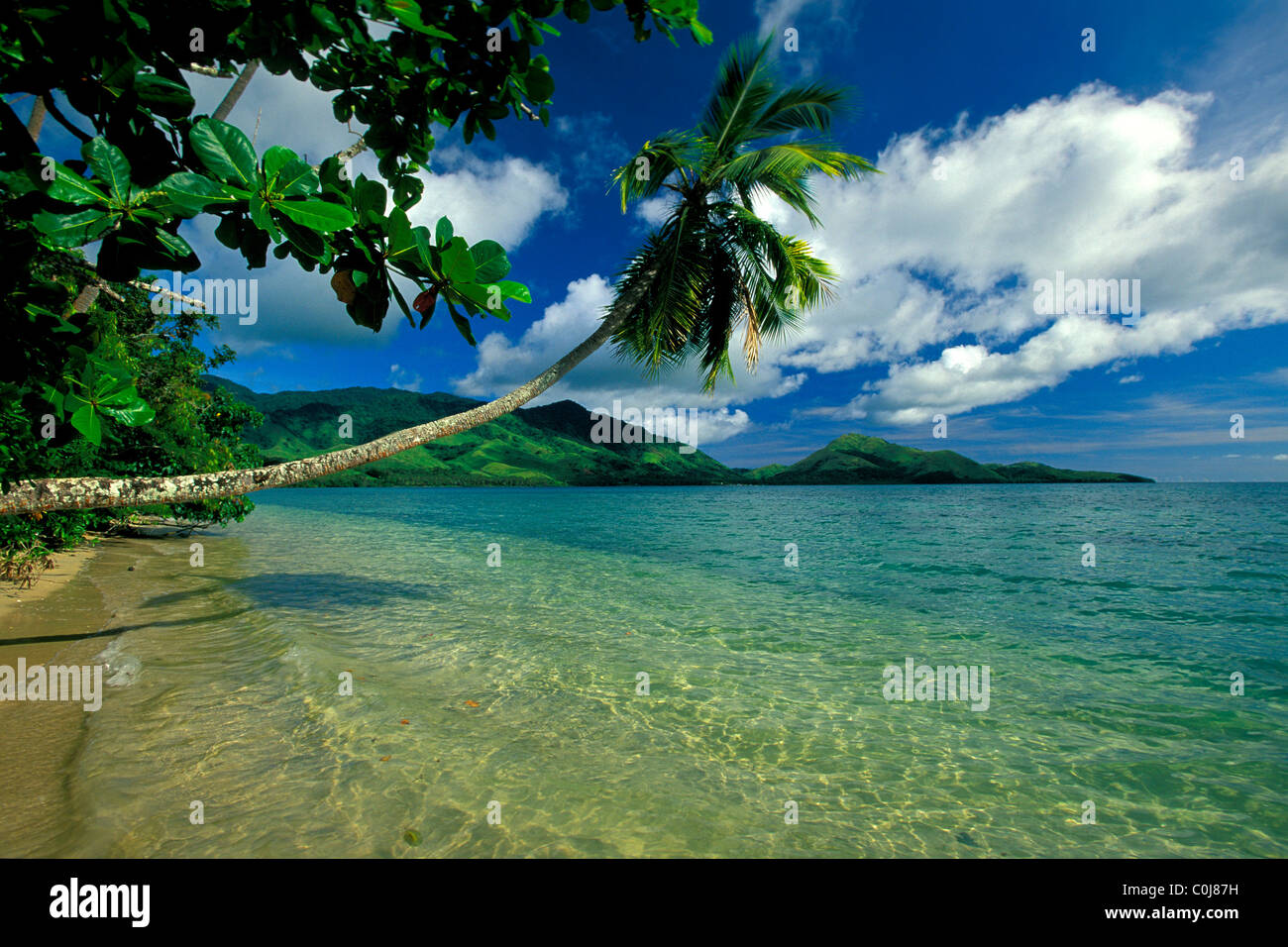 Spiaggia tropicale con palme, Figi, Oceano Pacifico Foto Stock