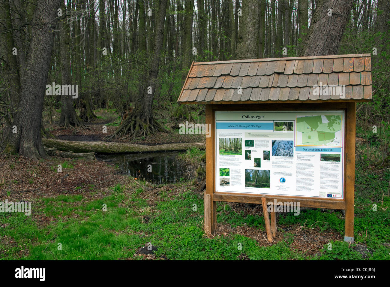 Il pannello delle informazioni al Fertoe-Hansag / Ferto-Hanság National Park, Ungheria Foto Stock