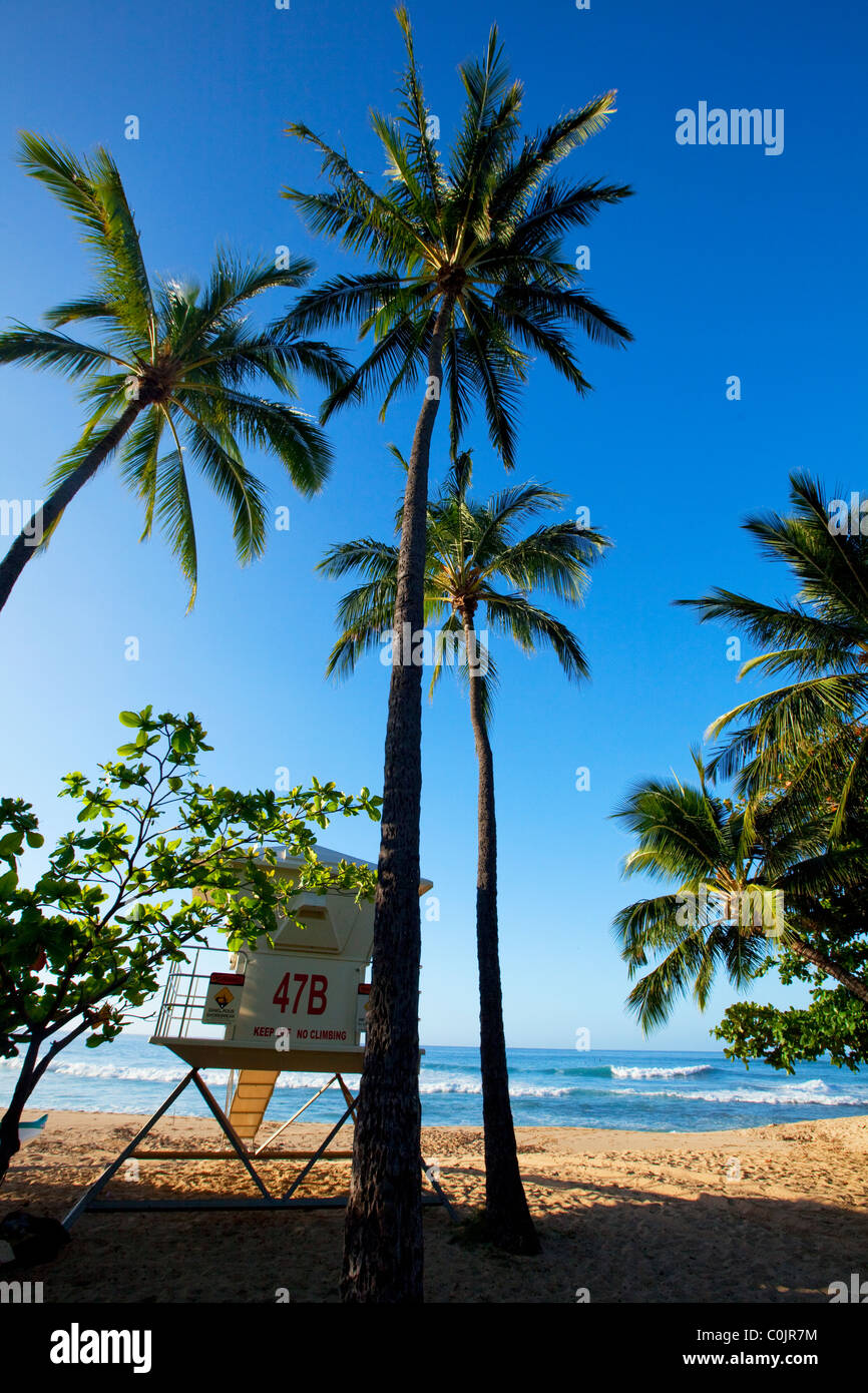 Makaha, Spiaggia, costa sottovento, Oahu, Hawaii Foto Stock