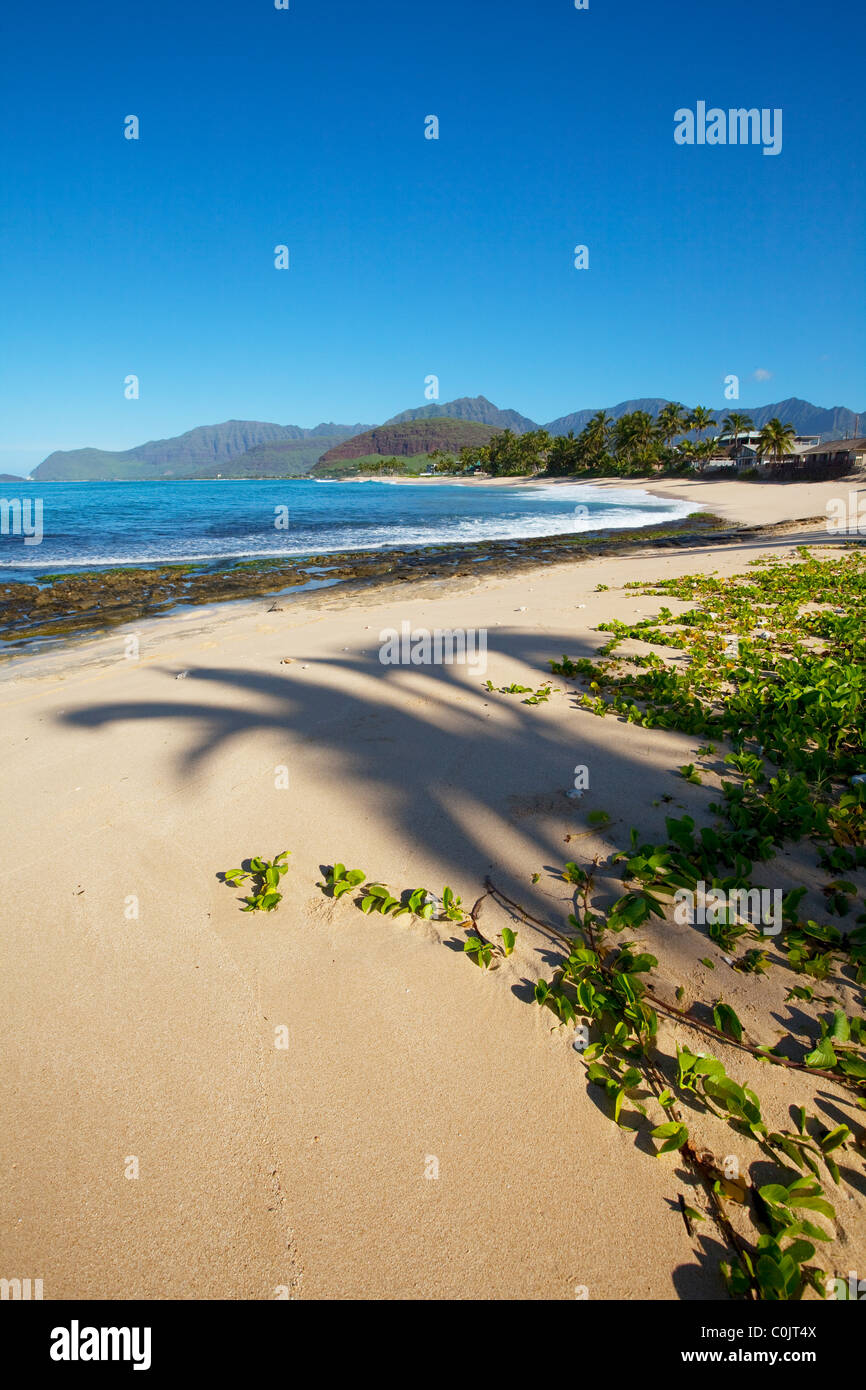 Ulehawa Beach, costa sottovento, Oahu, Hawaii Foto Stock