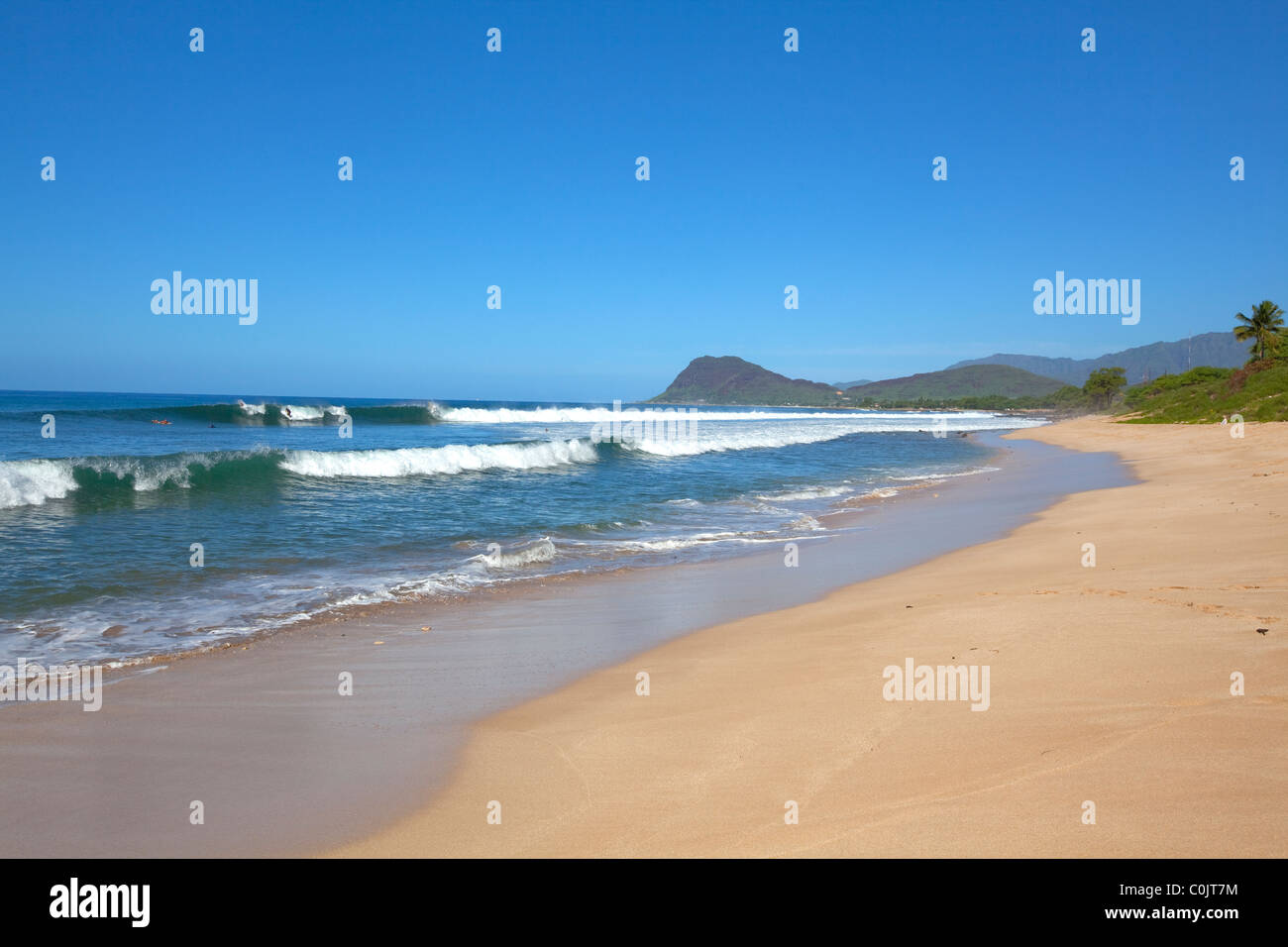 Le vie Beach, costa sottovento, Oahu, Hawaii Foto Stock